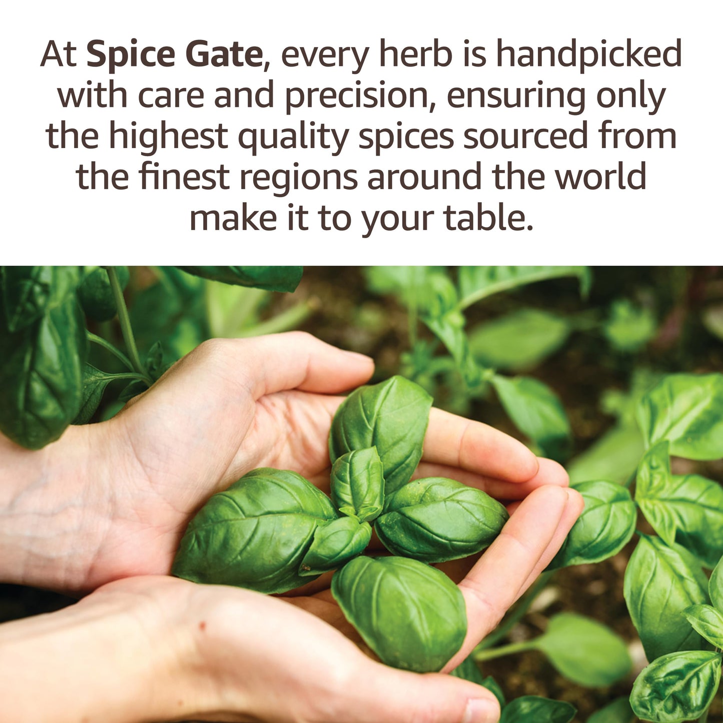 Spice Gate Kefta Seasoning for Grilled Kebabs, 1.5 oz, Ideal for Kofta or Kafta