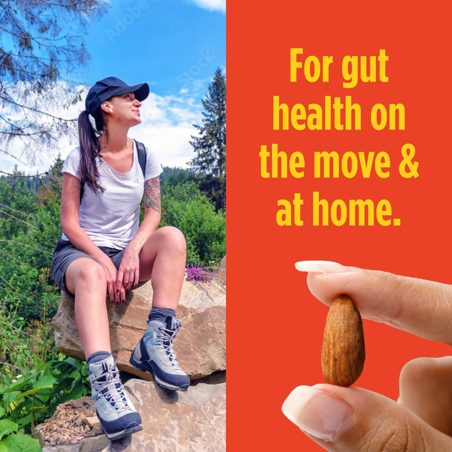 Philosopher Foods Gut Nuts - Fermented & Sprouted Almonds - 3oz Pouch (6 Pack) - Crunchy Low Carb Keto Snack