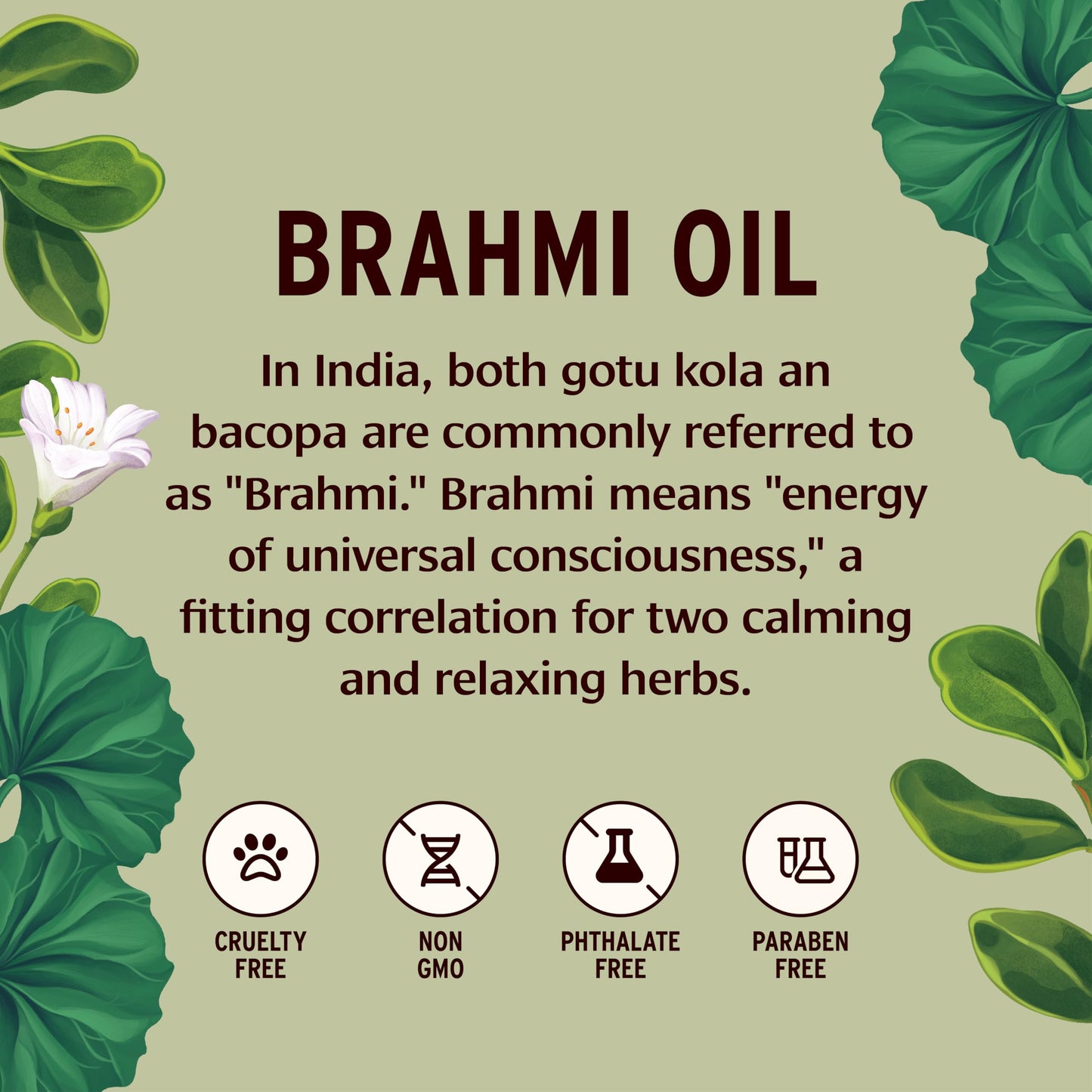 Banyan Botanicals Brahmi Oil – Organic Ayurvedic Massage Oil with Gotu Kola & Bacopa – 128 Fl Oz – Non GMO, Plastic Bottle
