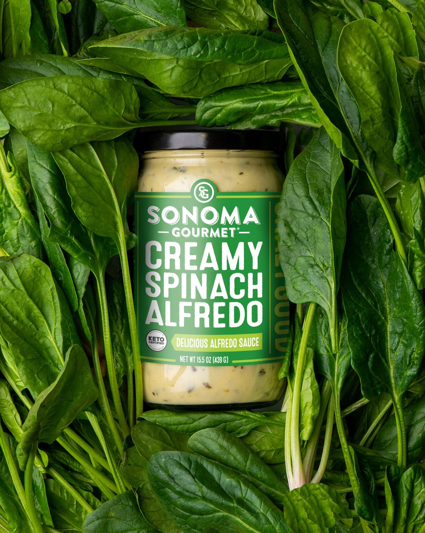 Sonoma Gourmet Spinach Alfredo Pasta Sauce | Gluten-Free And No Sugar Added | Made With Real Cream | 15.5 Ounce Jars (Pack Of 4)
