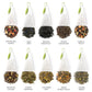 Tea Forte Tea Chests with 40 Handcrafted Pyramid Infusers - Tea Tasting Assortment, 40 Count, Model 3910120
