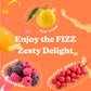 DALAMHARI Kombucha Powder Variety Pack 20T - Schisandra Berry, Green Plum, Black Raspberry, Citron Yuzu Flavors