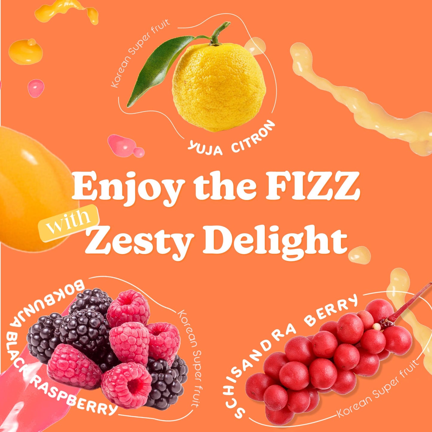DALAMHARI Kombucha Powder Variety Pack 20T - Schisandra Berry, Green Plum, Black Raspberry, Citron Yuzu Flavors