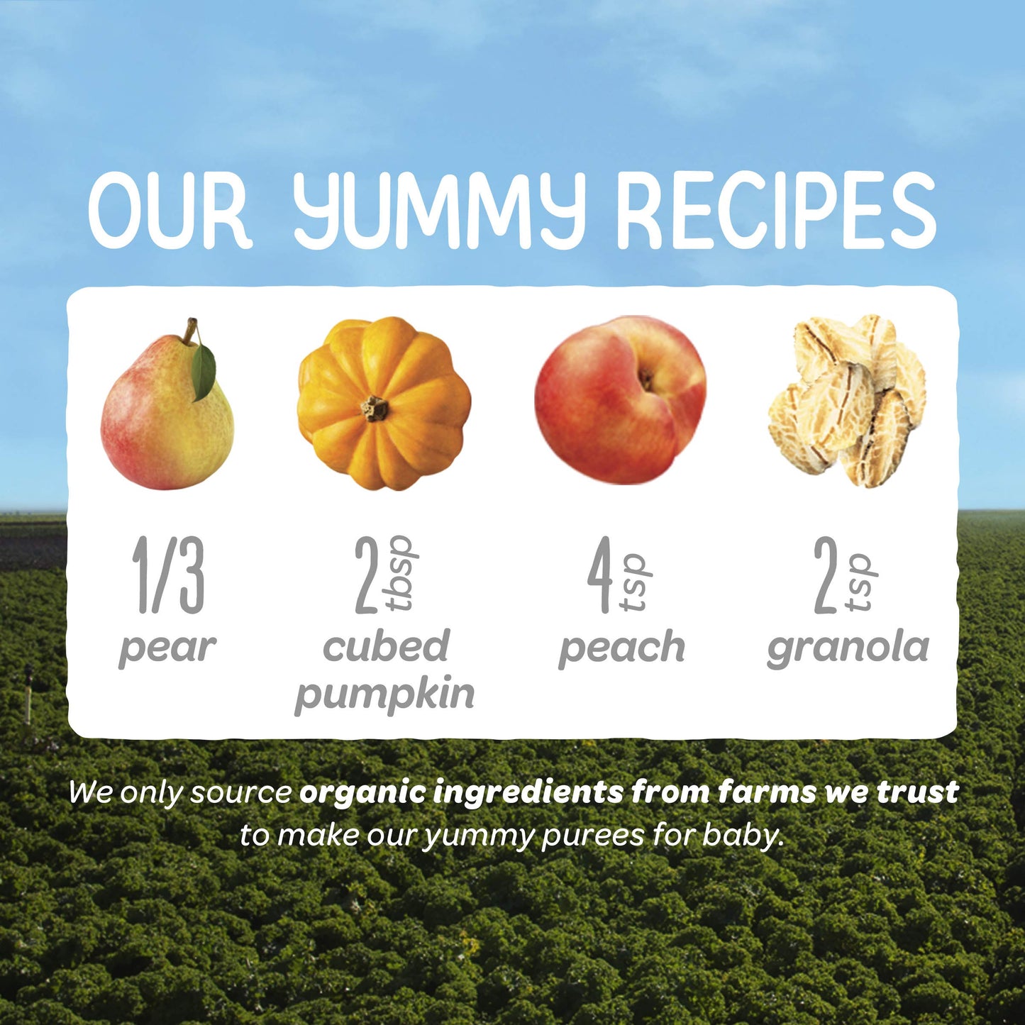 Happy Baby Organics Stage 2 Baby Food Pouches, Gluten Free, Vegan & Healthy Snack, Clearly Crafted Fruit & Veggie Puree, Pumpkin