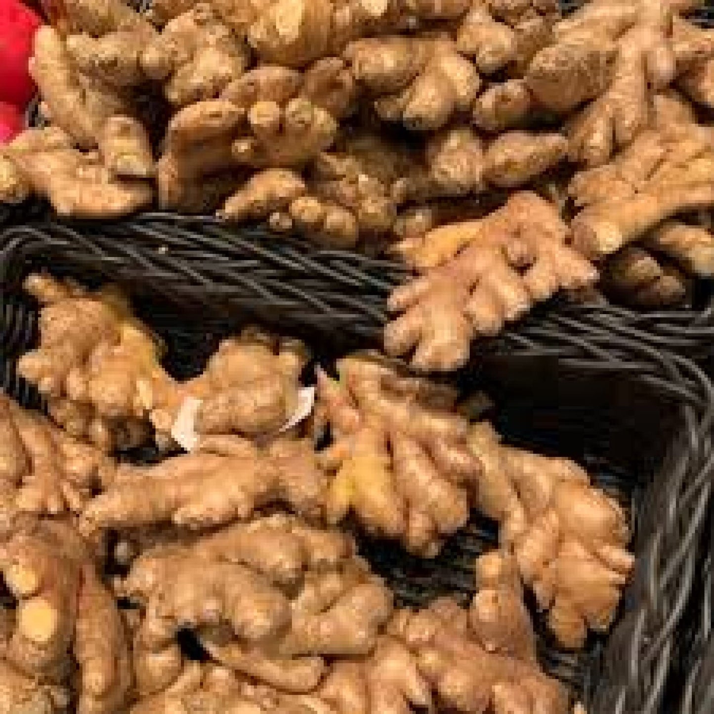 Organic Fresh Ginger Roots Snow Hill Himalayan Ginger Roots - Product Of Mt. Everest Country, Nepal | If Need Fresh Batch, Choos