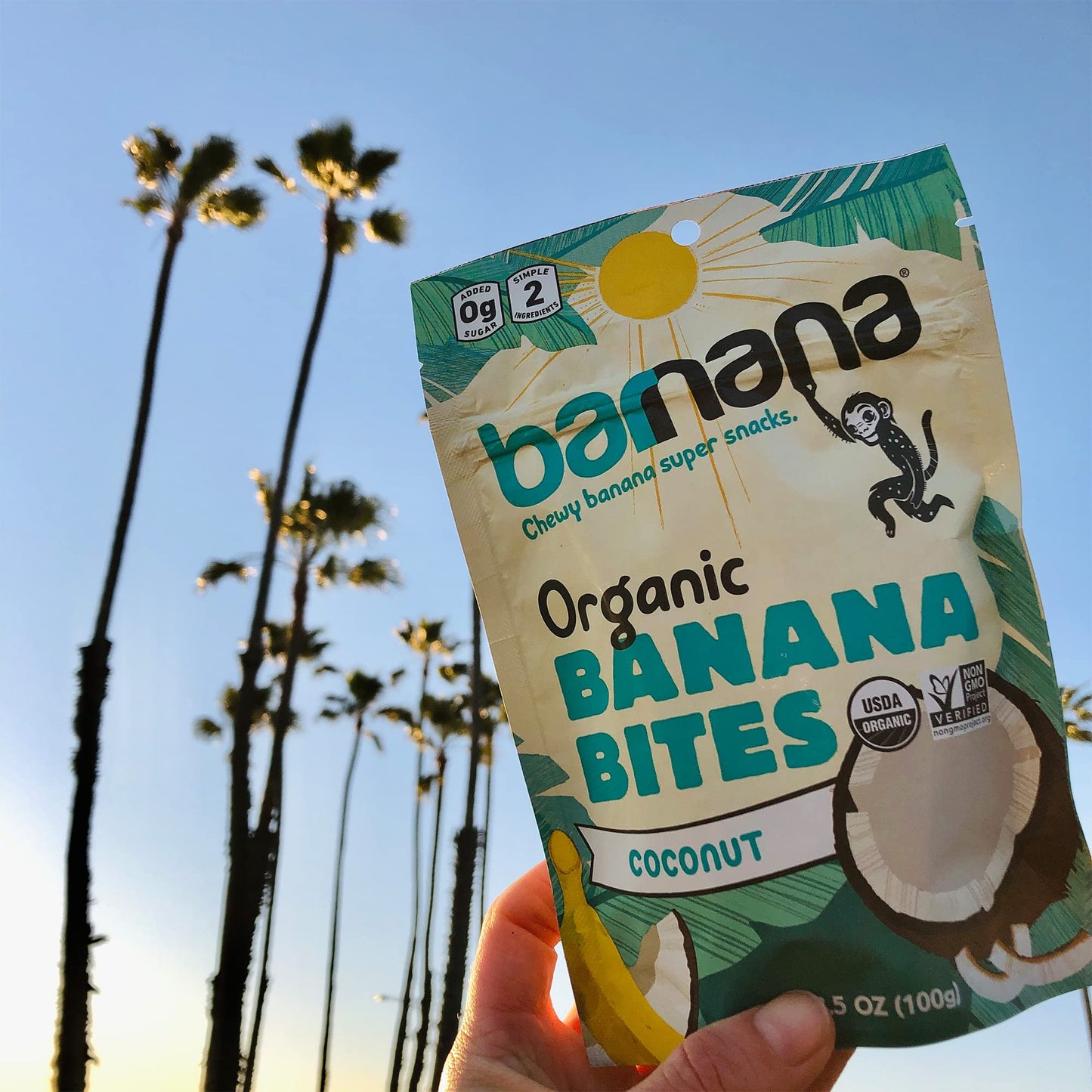 Barnana - Organic Chewy Coconut Banana Bites, Healthy Dehydrated Treat, Chewy Coconut Banana Snack, Made With Real Fruit, Potass