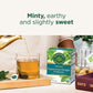 Traditional Medicinals Organic Peppermint Delight Tea, Probiotic, Pack of 6, 96 Tea Bags