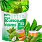Egcina Dried Soursop Leaves for Tea - 100% Natural, Caffeine Free, 2.47 oz (70 g)