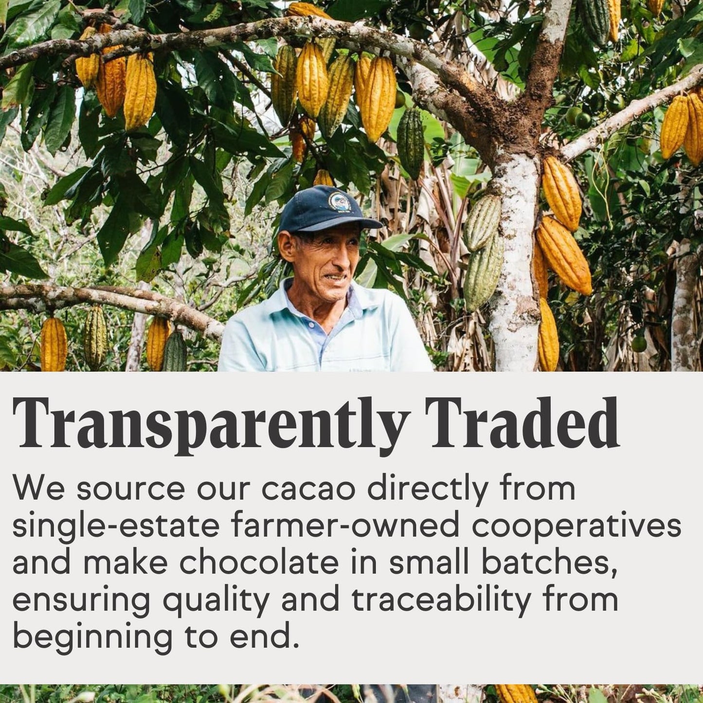 Raaka Coconut Milk Chocolate Gift Box | 60% Cacao Vegan Milk Chocolate | Organic, Vegan, Gluten Free | Box of 30 Individually Wr