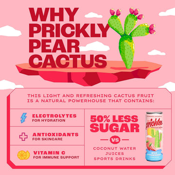 Pricklee Wild Strawberry Cactus Water - Natural Sports Drink, Low-Sugar, Low-Calorie, 12 Fl Oz (Pack of 12), Non-Sparkling