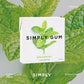 SIMPLY Gum | Spearmint | Plant- Based Chewing Gum | Pack of One (15 Pieces Total) | Synthetic Plastic Free + Aspartame Free + no