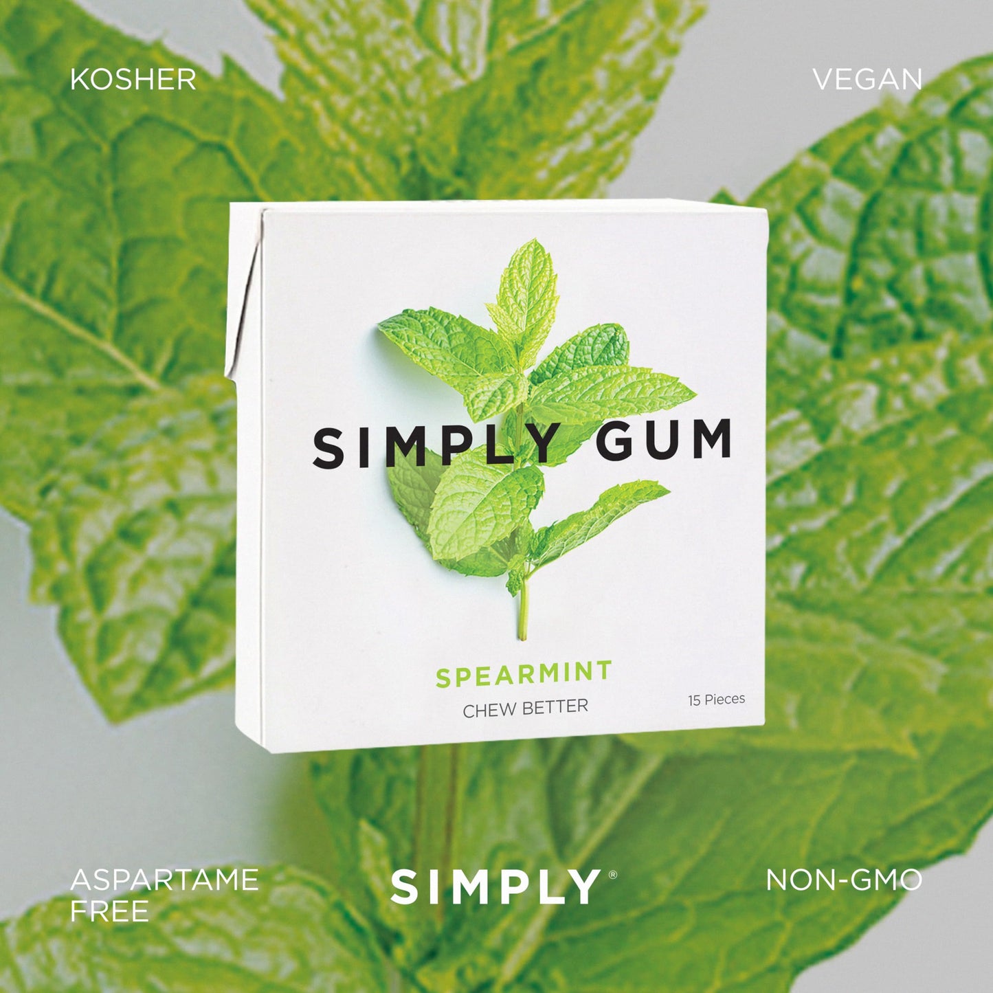 SIMPLY Gum | Spearmint | Plant- Based Chewing Gum | Pack of One (15 Pieces Total) | Synthetic Plastic Free + Aspartame Free + no