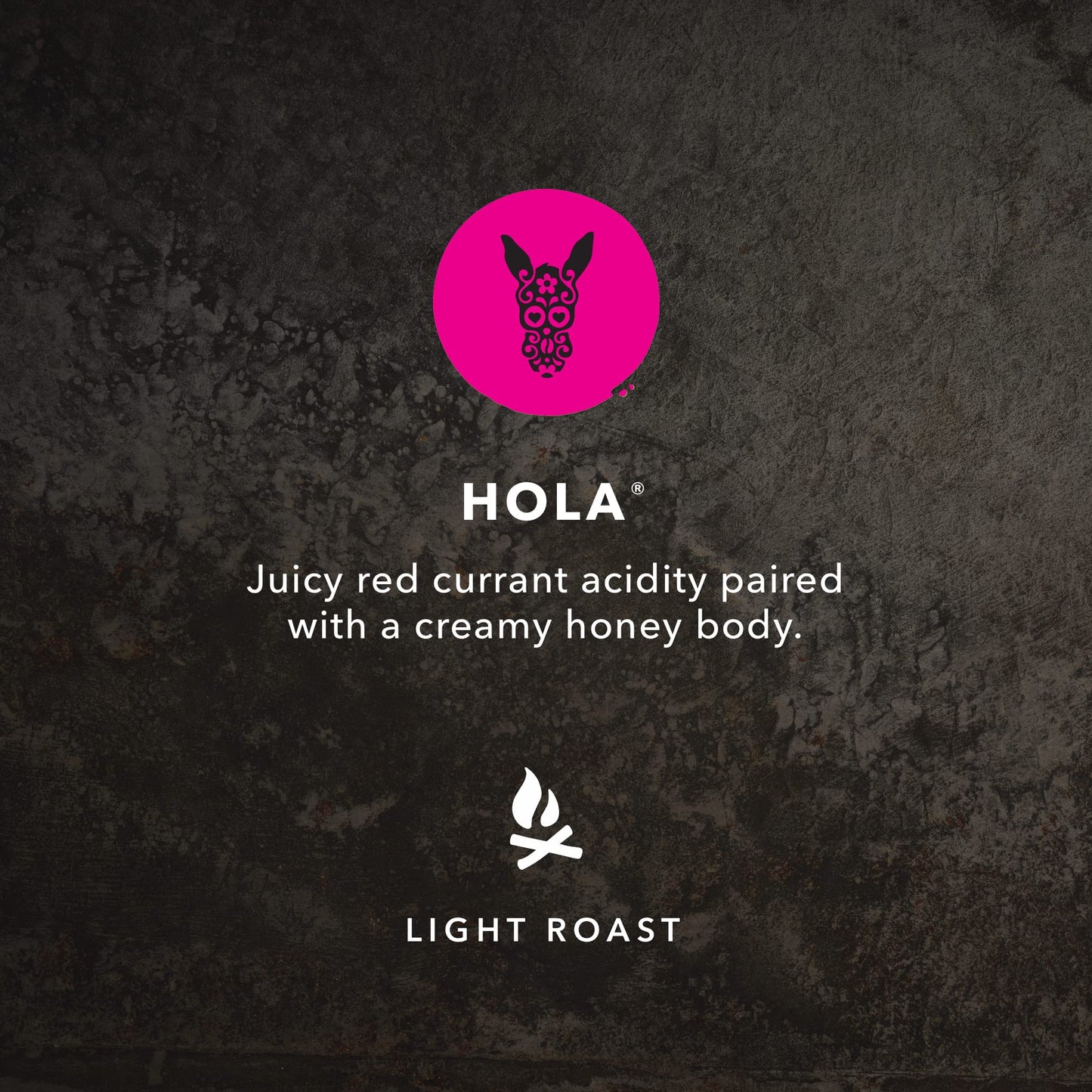 Kicking Horse Hola Whole Bean (Light), 454 Gr