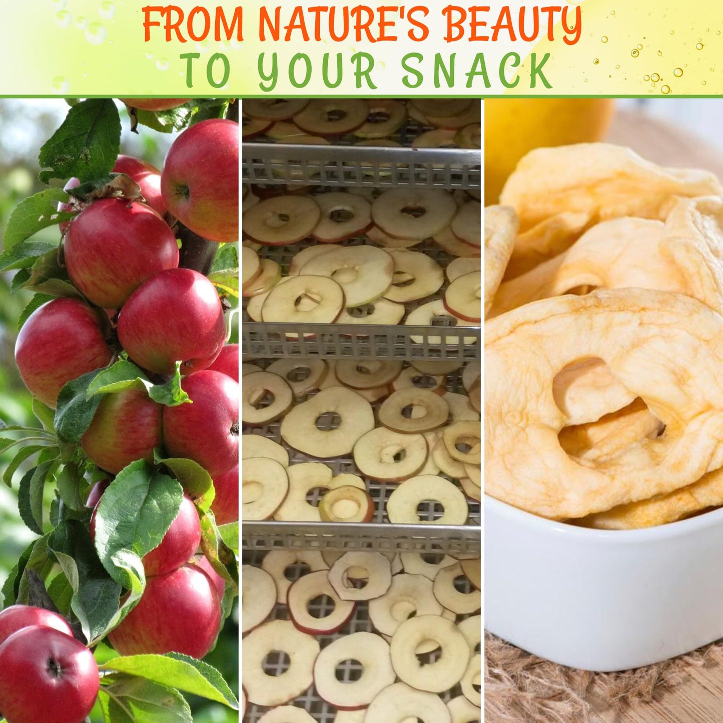 Dried Apple | 26 Oz - Dried Fruit Rings | Less Sugar Added | Dehydrated Fruit Bites | Packed In New York Zip-Seal Bag For Exceptional Freshness By Oh Nuts