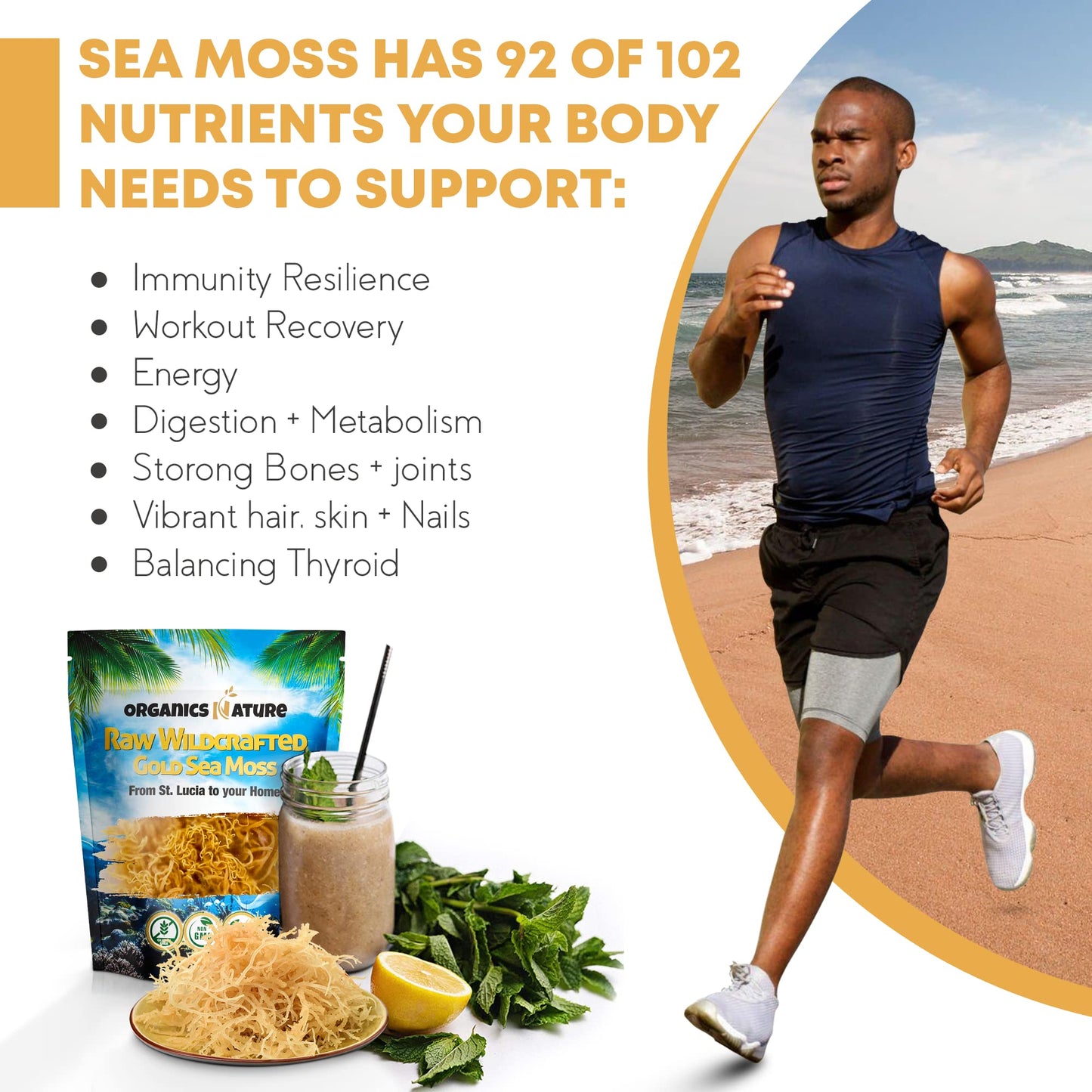 ORGANICS NATURE Raw Wildcrafted Sea Moss Gel - 4 oz, Organic, Non-GMO, Brown, Immune Support, Energy, Essential Minerals & Vitamins