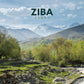 Ziba Foods Wild Grown Dried Mulberries | Non-GMO, Vegan, Whole 30 Friendly & Paleo, Dried Fruit | Wild Grown Superfood Naturally