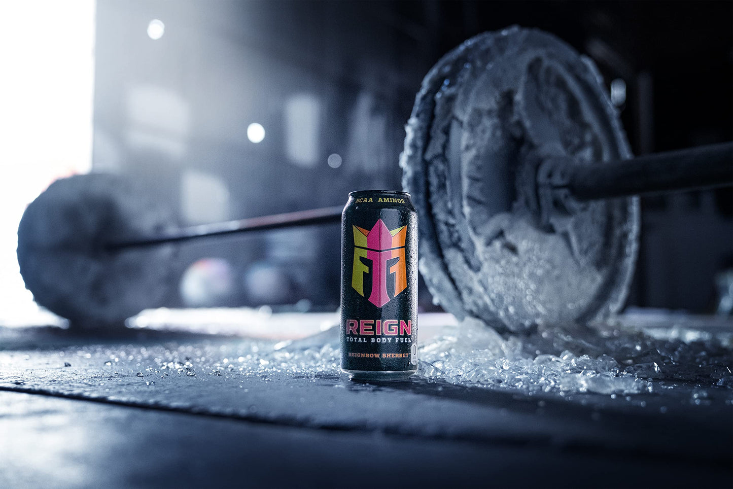 Reign Total Body Fuel, Reignbow Sherbet, Fitness & Performance Drink, 16 Fl Oz (Pack Of 12)