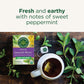 Traditional Medicinals Tea, Organic Smooth Move Peppermint, Relieves Occasional Constipation, Senna, 16 Count (Pack Of 6)