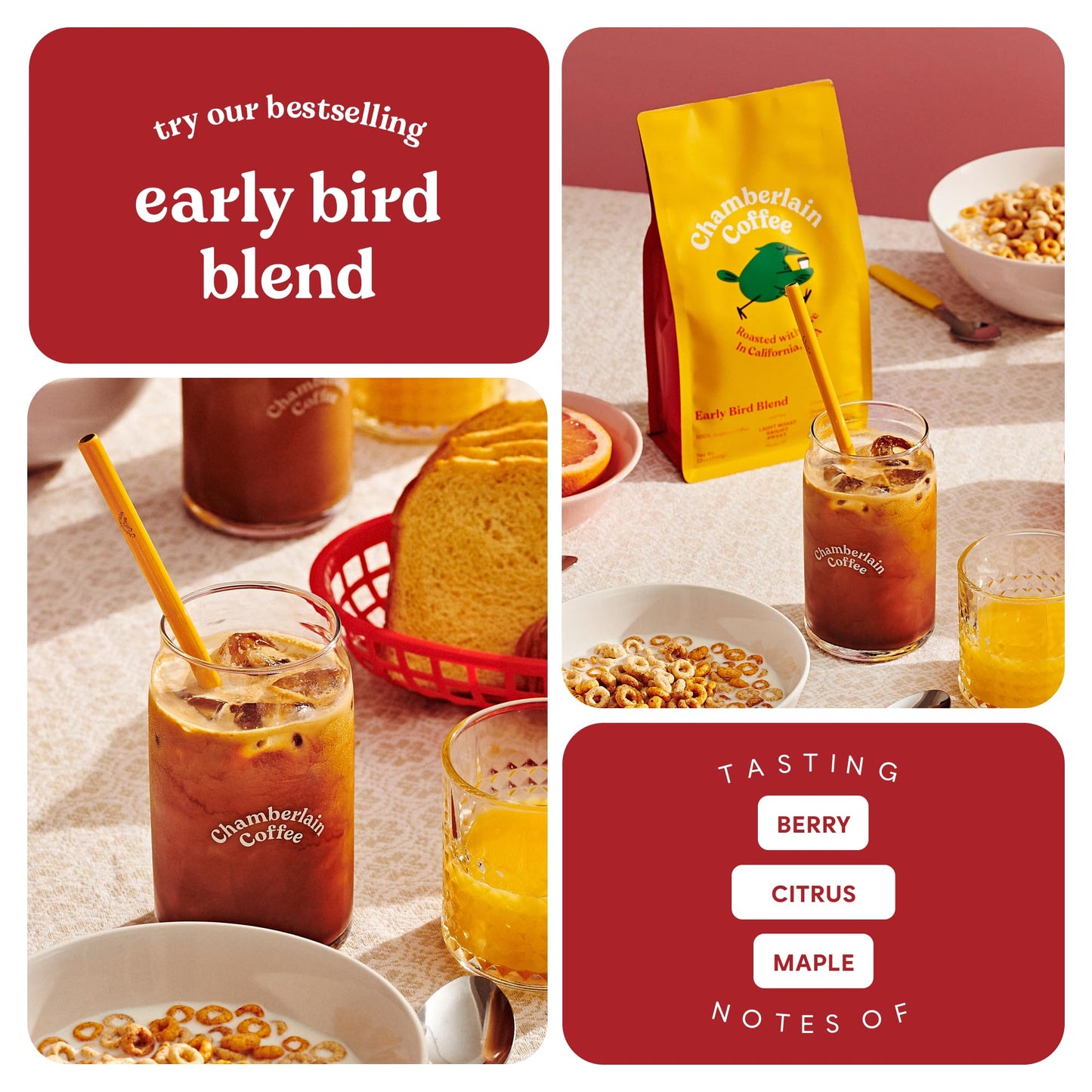 Chamberlain Coffee Early Bird Blend Light Roast Coffee Beans 12 oz Whole Bean