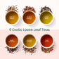 Teaniru, Gourmet Tea Collection - Pack Of 10 | 6 Flavored Loose Leaf Tea Set | Gourmet Tea Gift Sets | Corporate Gifting & Bulk