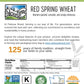 Hard Red Spring Wheat Berries | 5 Lbs | 100% Non-Irradiated | Certified Kosher Parve | Usa Grown | Non-Gmo Project Verified