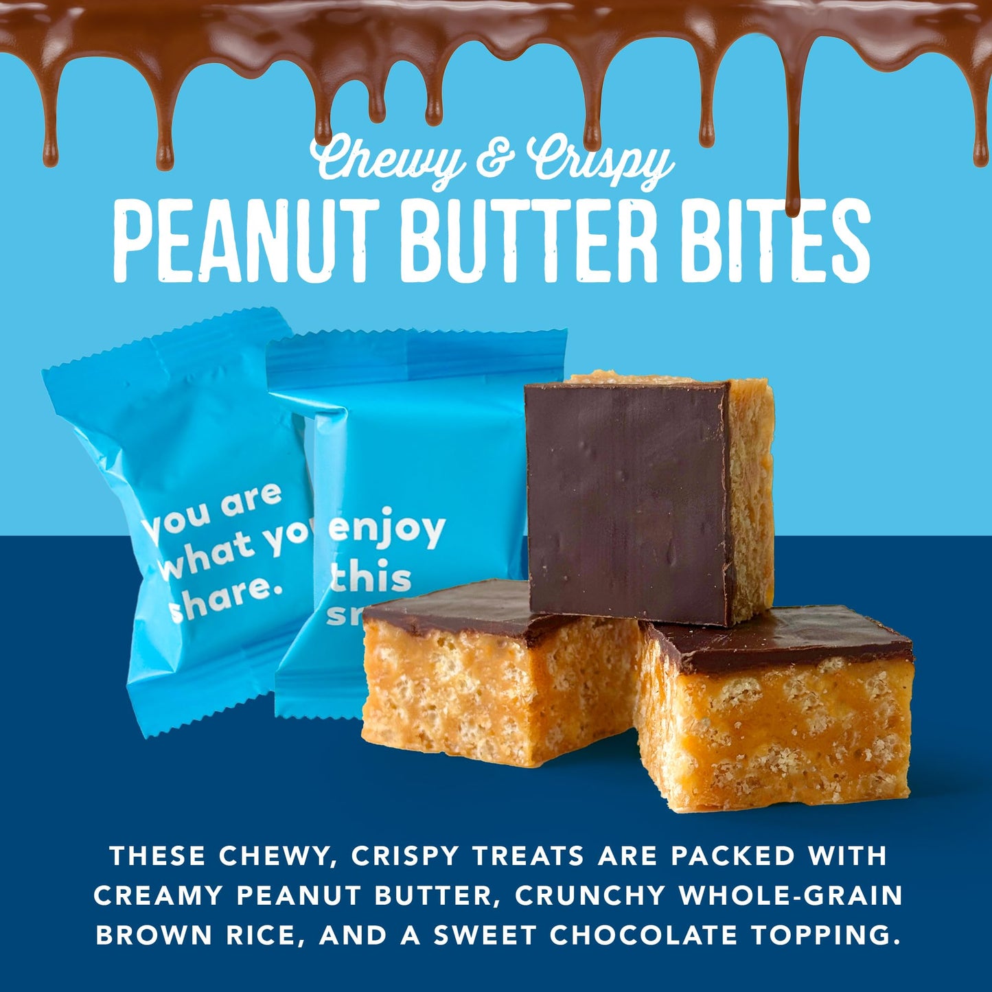 For Noshers Only Peanut Butter Bites - Vegan, Gluten Free, Kosher - 8 Individually Wrapped Snack Packs - Brown