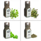 iSpice Starter Spice Set - Seasonings Variety Pack, 12 Pack, 4.33 Ounce