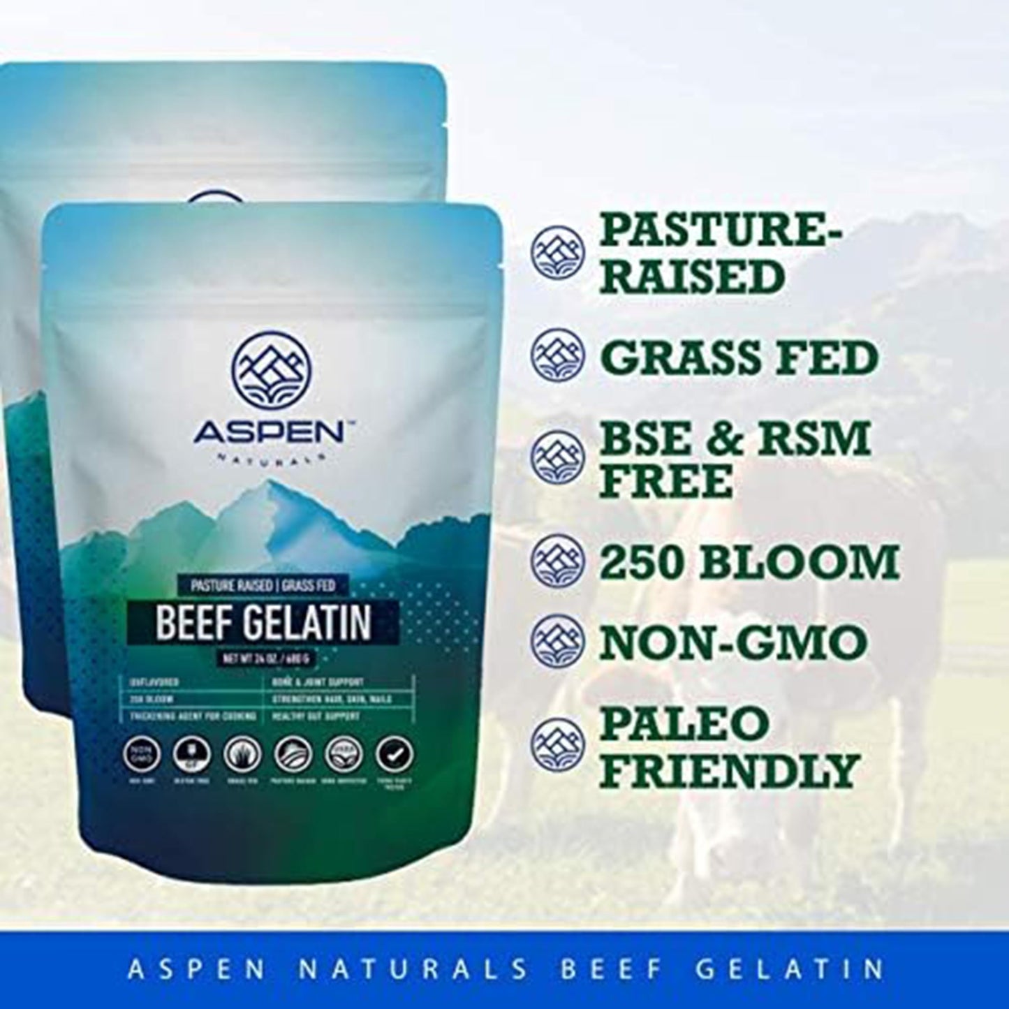 ASPEN NATURALS Grass Fed Beef Gelatin Powder, Unflavored, Non-GMO, Paleo Friendly, 24 oz (1.5 lb)