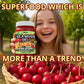 Biolore Sea Moss Gel Cherry Pie Made in USA Raw Wildcrafted Irish Seamoss Essential Vitamins Trace Minerals Vegan Superfood, Jam