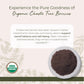 Starwest Botanicals Organic Chaste Tree Berries Powder - 1 Pound (16 Ounces) - Model TRTD6509