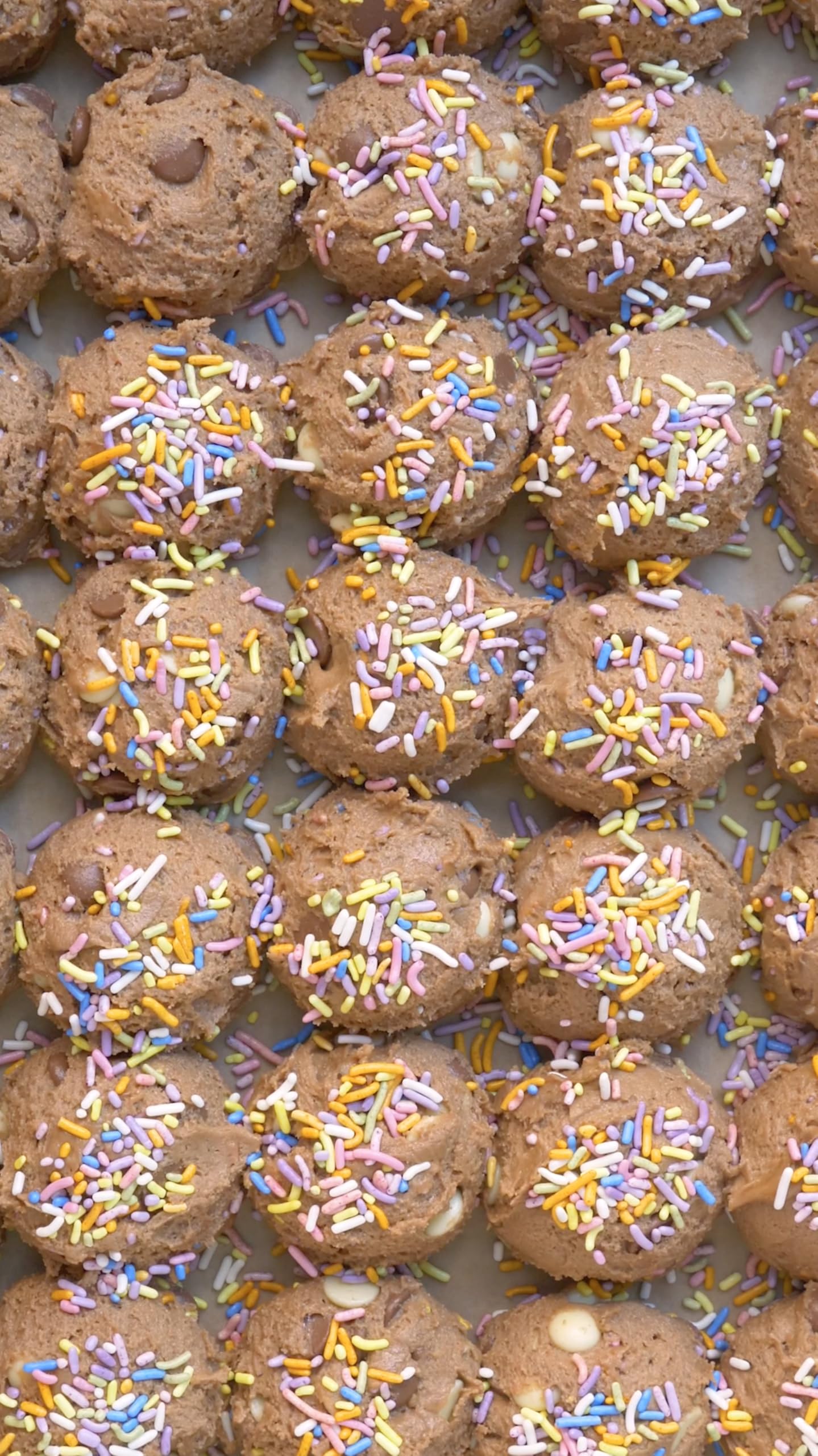 India Tree Natures Colors Vegan Carnival Sprinkles, 2.9 lb | Rainbow, Natural, Vegan, Red-3 Free, Top 9 Allergen-Free