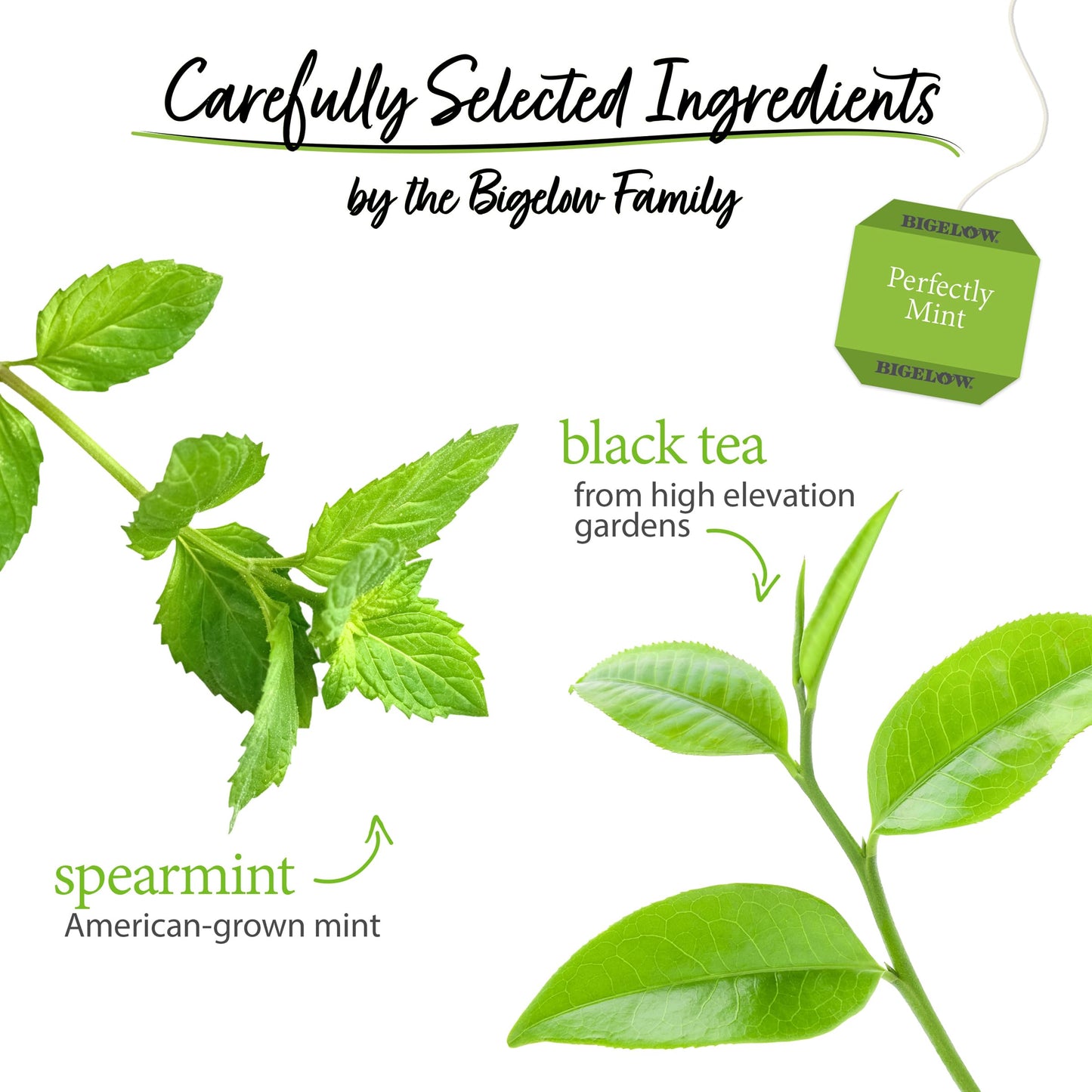 Bigelow Tea Perfectly Mint Black Tea, Caffeinated Spearmint Tea, 20 Count Box (Pack Of 6), 120 Total Tea Bags
