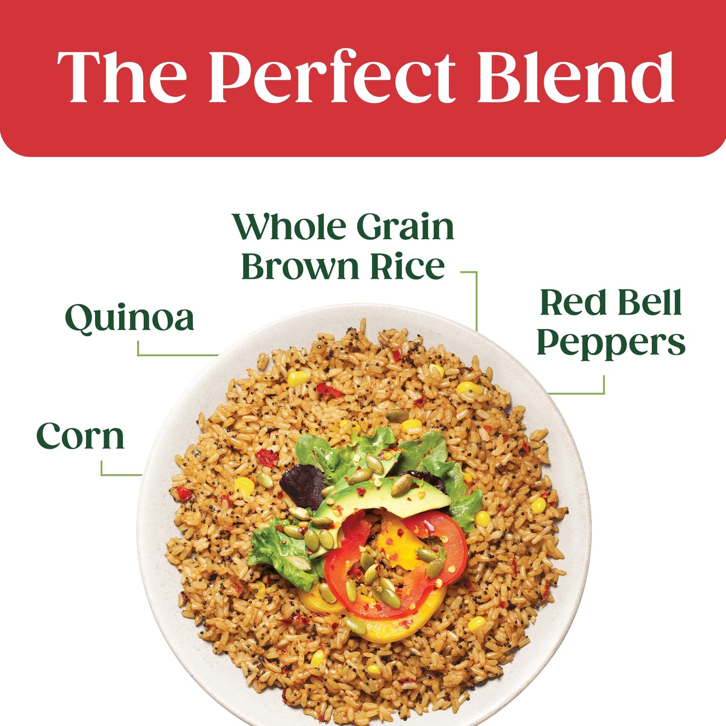 SEEDS OF CHANGE Organic Spanish Style Rice 8.5 Ounce (Pack of 12)