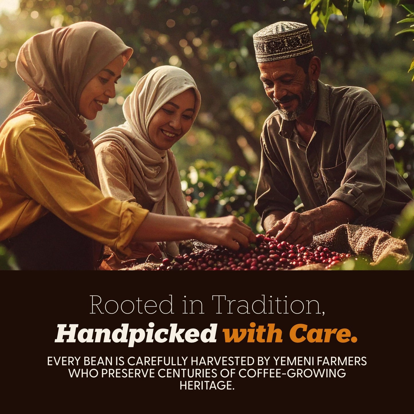 Al-Aqeeq Yemeni Coffee, Medium Roast Whole Bean, 8.8 oz - Authentic Single Origin Arabica, Freshly Roasted Coffee Beans