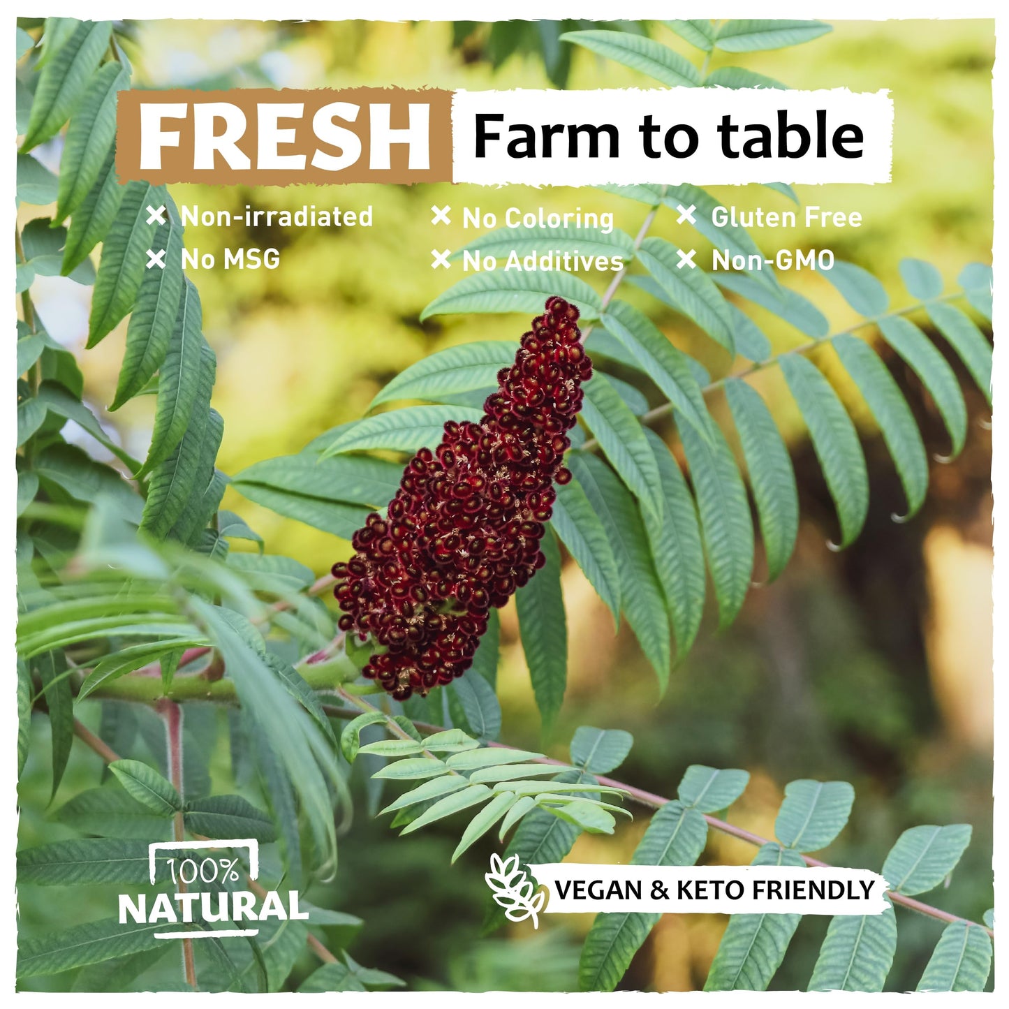 Eastanbul Sumac Spice Powder 6.4Oz, Ground Sumac Spice Fresh Farm Turkish Sumac Seasoning For Mediterranean Dishes & Middle East