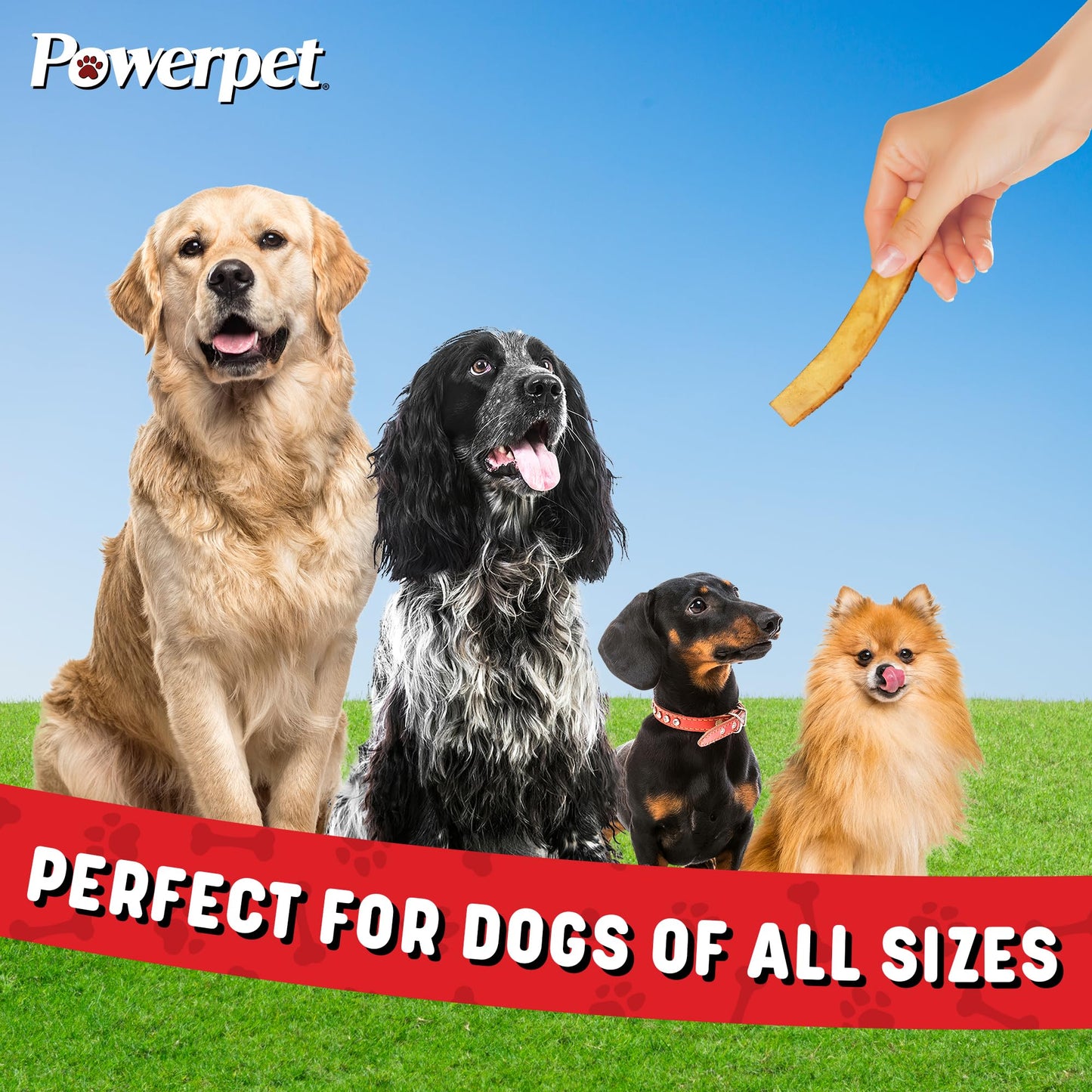Powerpet Natural Smoked Beef Jerky Skin for Dogs - High Protein, Grain-Free Chews - 8oz Bag