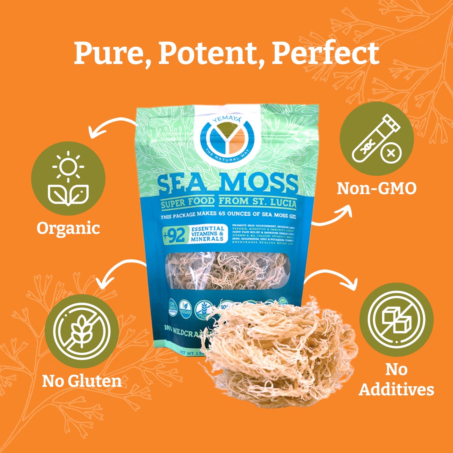 YEMAYA Organic Dried Sea Moss dietary product, Gluten Free, 2.5 oz, Gold