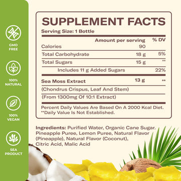 TrueSeaMoss Pina Colada Sea Moss Drink – Vegan Coconut Pineapple Infused – 4 x 12 fl oz Bottles – Tropical Hydration Made in USA