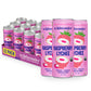 Wildwonder Sparkling Probiotic Drink, Raspberry Lychee, 12oz Can, 12 Pack, Organic, Vegan, Low Sugar