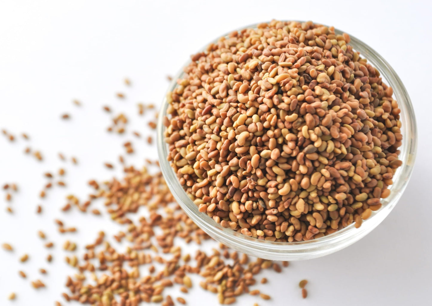 Food to Live Alfalfa Seeds for Sprouting, 20 Pound, Vegan, Kosher, High Germination Rate, Green