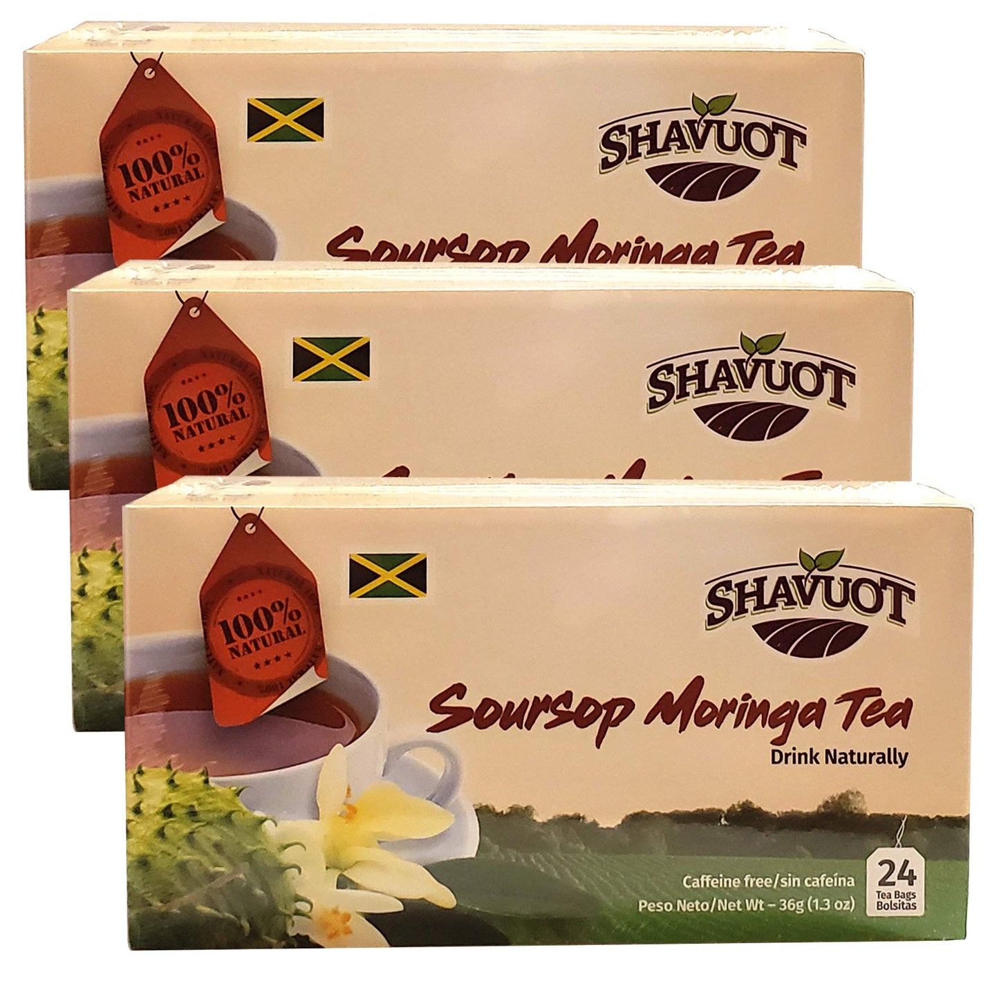 Shavuot Soursop Moringa Tea - 24 Count (Pack of 3) - Herbal Infusion, Natural Ingredients