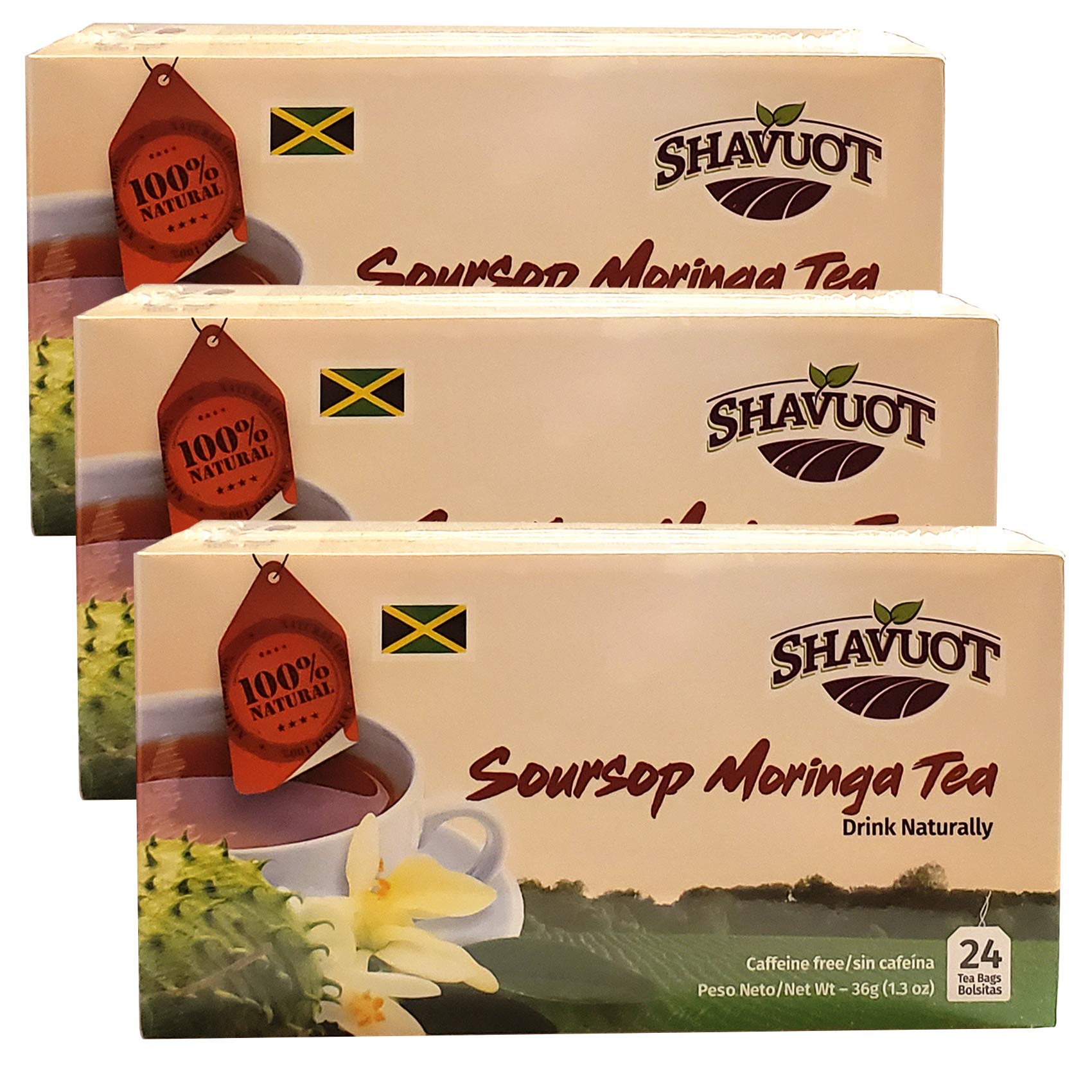 Shavuot Soursop Moringa Tea - 24 Count (Pack of 3) - Herbal Infusion, Natural Ingredients