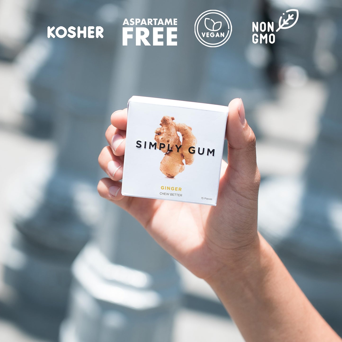 SIMPLY Gum Ginger, Plastic-Free Natural Chewing Gum, Made with real Ginger, 6 Pack (90 Pieces) | Vegan, Kosher, Non GMO, Asparta