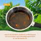 NalLife Soursop Leaves for Tea 100 Leaves