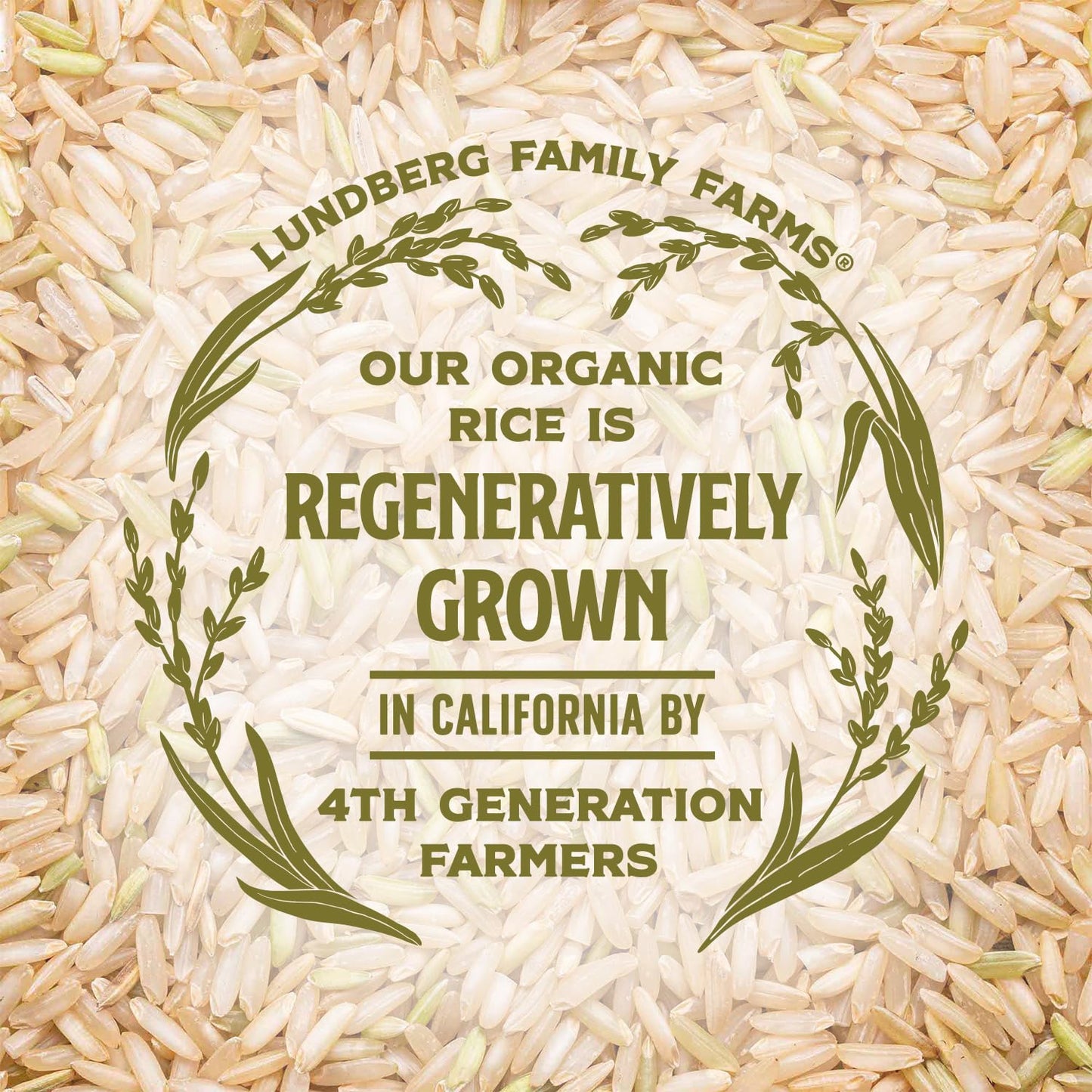 Lundberg Basmati Rice, Organic Long Grain Brown Rice - Non-Sticky, Fluffy Aromatic Rice Grown in California, Pantry Staples, 32