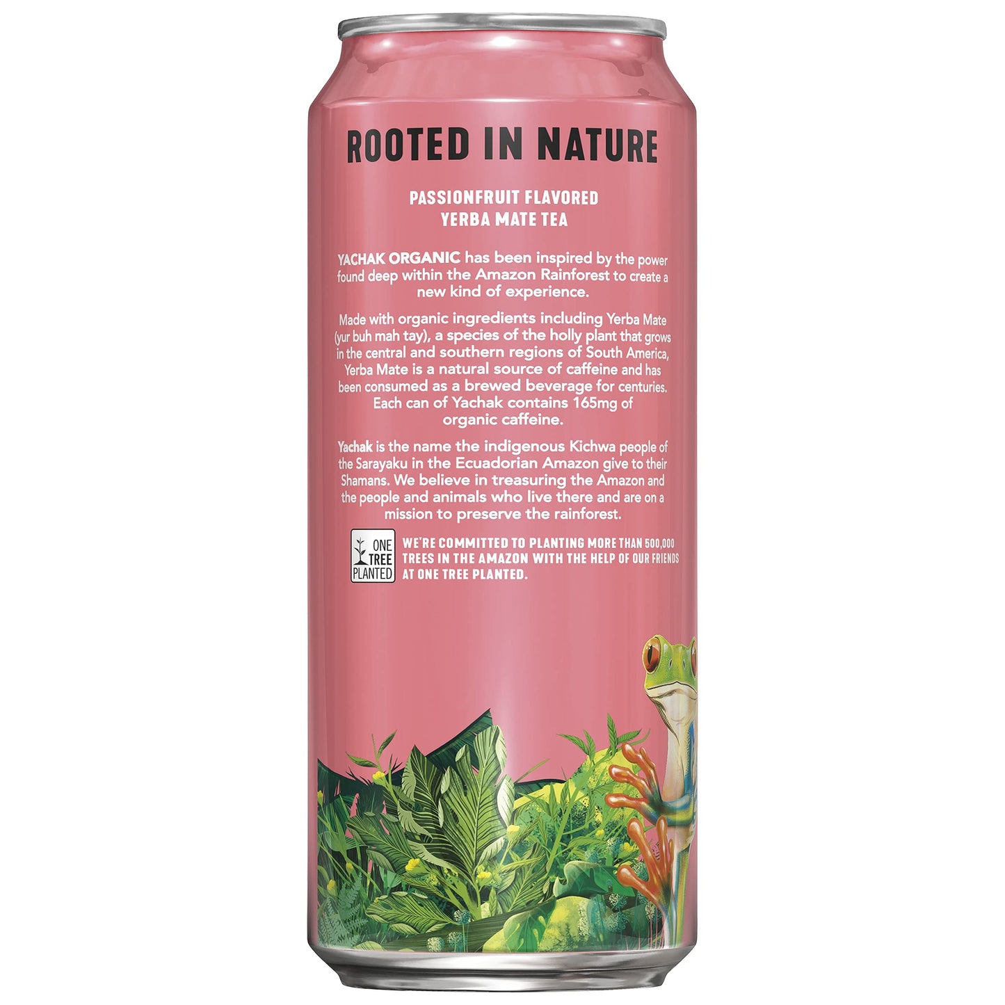 Yachak Yerba Mate Drink, Passionfruit Flavor, 16 Fl Oz (Pack of 12), Liquid