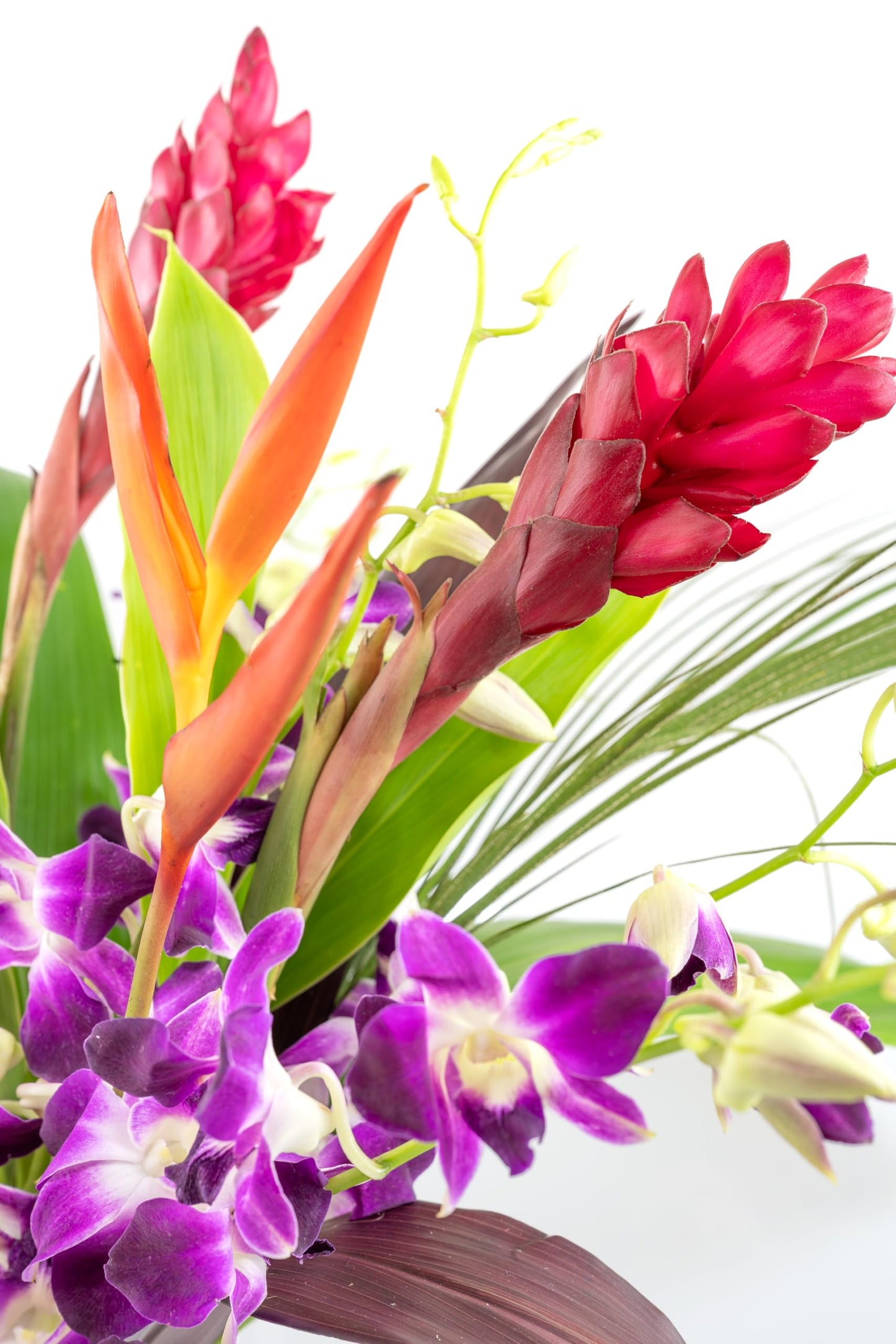 Fresh Orchids And Tropical Flower Bouquet, Purple Orchids, Red Ginger, Heliconia, Mixed Foliage, Hawaiian - Prime Quality - Perf