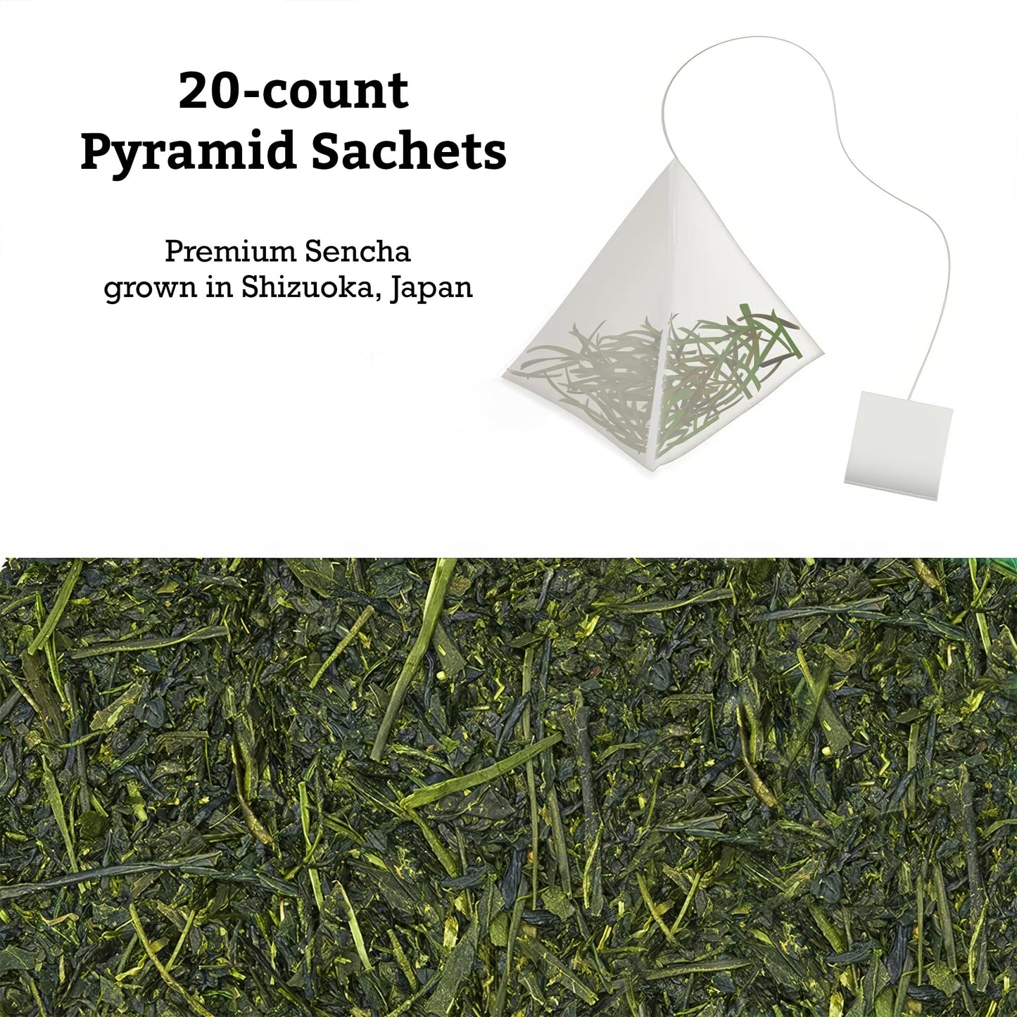 Sugimoto Tea Japanese Green Tea Bags 20 Count Pack Of 3, Traditional Deep Steamed Fukamushi Sencha Teas Made In Shizuoka Japan
