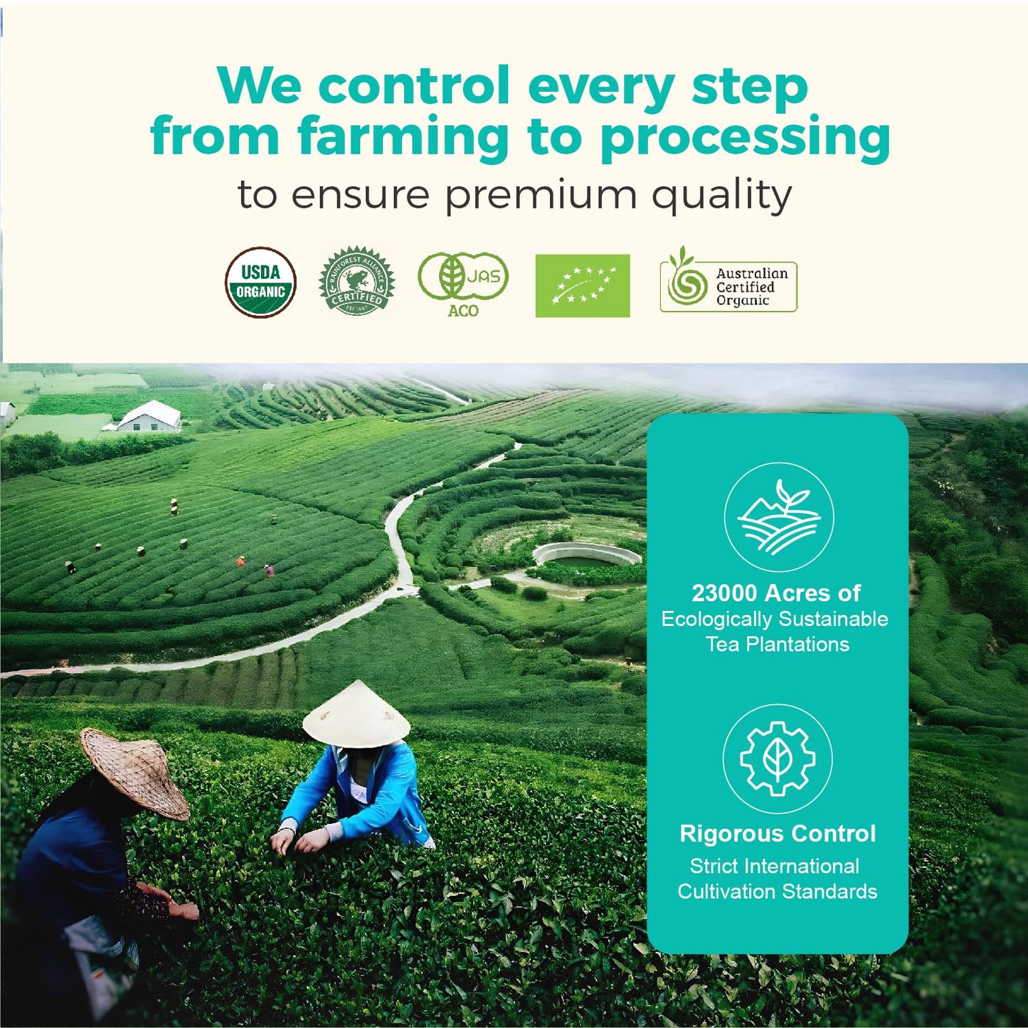 Emerail Matcha Powder Ceremonial Grade  USA Organic Matcha Green Tea Powder  enhanced First Harvest  Sugar-Free Gluten-Free Vegan (60g / 2.1oz)