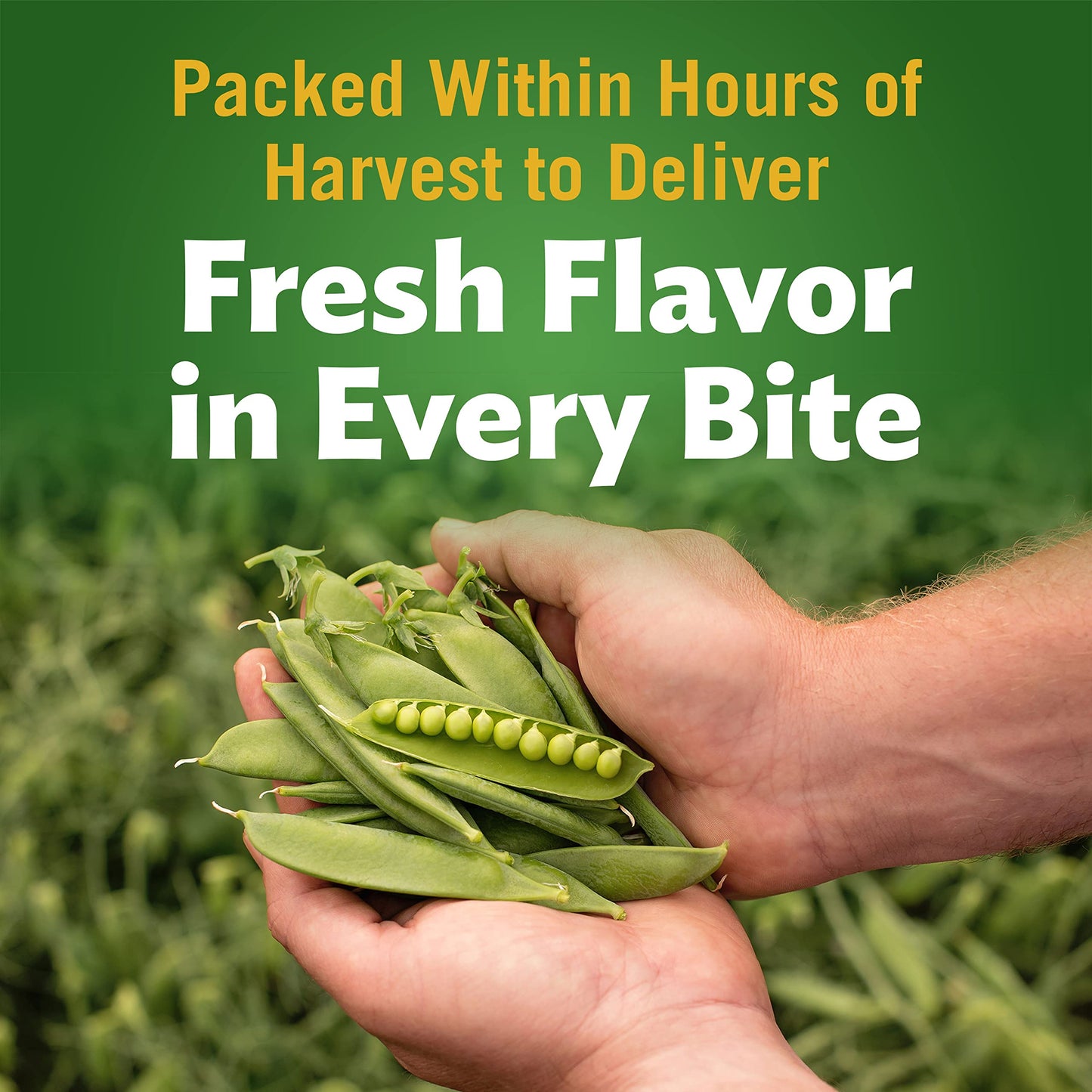 Del Monte Canned Sweet Peas, 8.5 Ounce (Pack of 12) - Non-GMO, Ready to Eat, Ideal for Cooking and Snacking